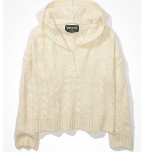 American Eagle Soft & Cozy Hoodie Sweater